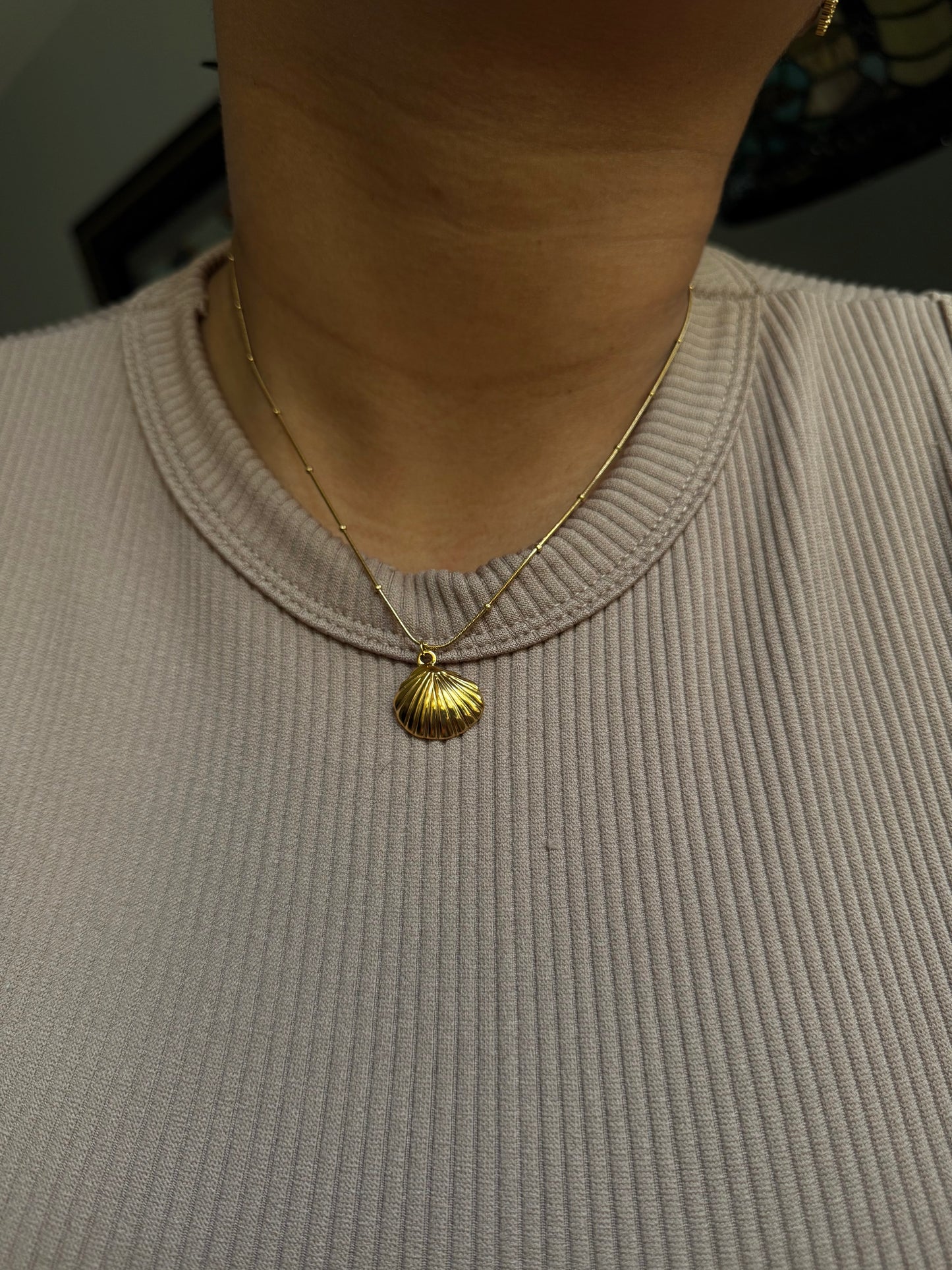 Seashell necklace