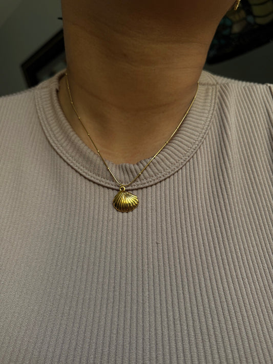 Seashell necklace